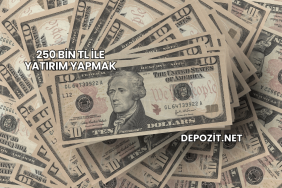 250 Bin TL ile Yatırım Yapmak