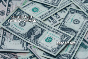 500 Bin TL ile Yatırım Yapmak