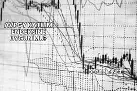 AVPGY Katılım Endeksine Uygun mu?