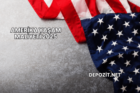 Amerika Yaşam Maliyeti 2025