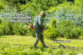 Bahçe Çimlendirme Maliyeti 2025