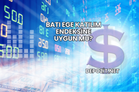 Batı Ege Katılım Endeksine Uygun mu?