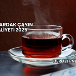 Bir Bardak Çayın Maliyeti 2025