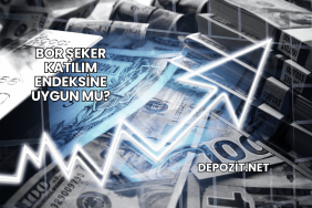 Bor Şeker Katılım Endeksine Uygun mu?