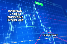 Borusan Katılım Endeksine Uygun mu?