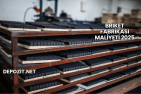 Briket Fabrikası Maliyeti 2025