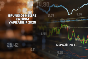 Brunei'de Nelere Yatırım Yapılabilir 2025