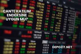 CANTE Katılım Endeksine Uygun mu?