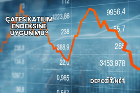ÇATES Katılım Endeksine Uygun mu?