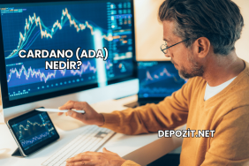 Cardano (ADA) Nedir?