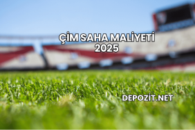 Çim Saha Maliyeti 2025