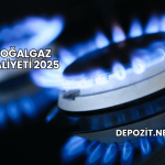 Doğalgaz Maliyeti 2025