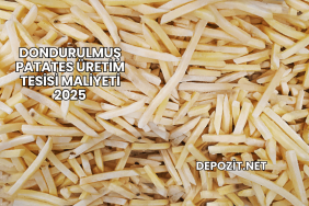 Dondurulmuş Patates Üretim Tesisi Maliyeti 2025