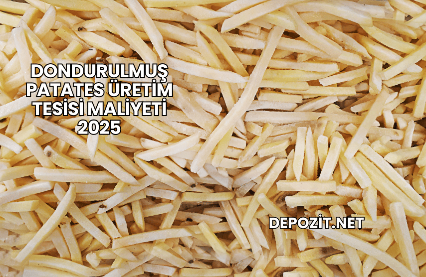 Dondurulmuş Patates Üretim Tesisi Maliyeti 2025