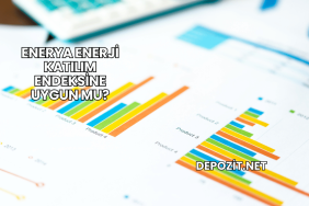 Enerya Enerji Katılım Endeksine Uygun mu?