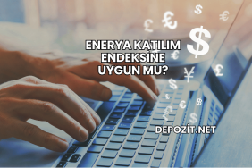 Enerya Katılım Endeksine Uygun mu?
