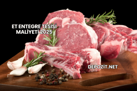 Et Entegre Tesisi Maliyeti 2025