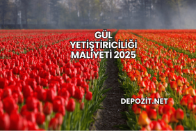 Gül Yetiştiriciliği Maliyeti 2025