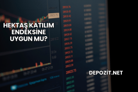 Hektaş Katılım Endeksine Uygun mu?