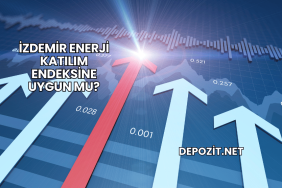 İzdemir Enerji Katılım Endeksine Uygun mu?