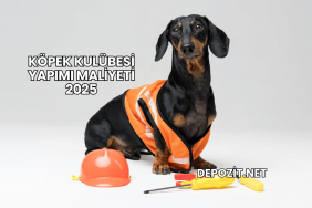 Köpek Kulübesi Yapımı Maliyeti 2025