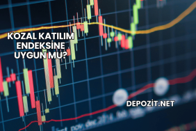 Kozal Katılım Endeksine Uygun mu?