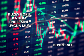 Kuzey Boru Katılım Endeksine Uygun mu?