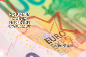 Kuzu Grup Katılım Endeksine Uygun mu?