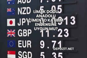 Limak Doğu Anadolu Çimento Katılım Endeksine Uygun mu?