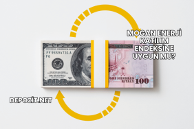 Mogan Enerji Katılım Endeksine Uygun mu?
