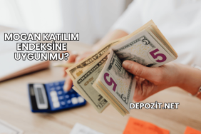 Mogan Katılım Endeksine Uygun mu?