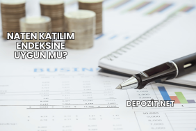 Naten Katılım Endeksine Uygun mu?