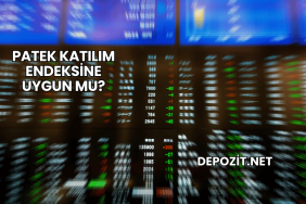 Patek Katılım Endeksine Uygun mu?