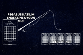 Pegasus Katılım Endeksine Uygun mu?