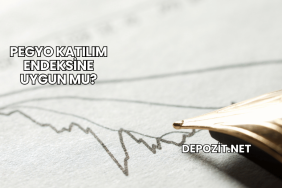 Pegyo Katılım Endeksine Uygun mu?