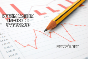 Petkim Katılım Endeksine Uygun mu?