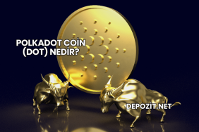Polkadot Coin (DOT) Nedir?