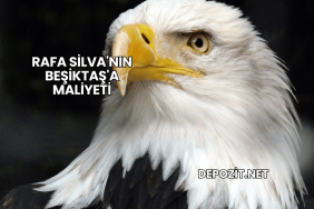 Rafa Silva'nın Beşiktaş'a Maliyeti
