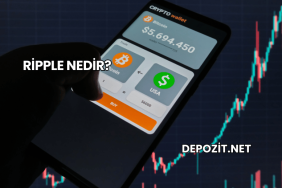Ripple Nedir?
