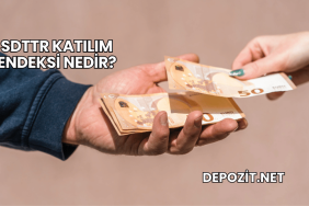 SDTTR Katılım Endeksi Nedir?
