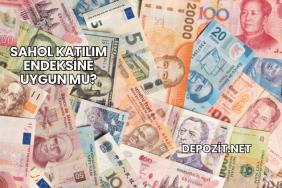 Sahol Katılım Endeksine Uygun mu?