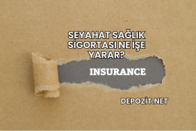 Seyahat Sağlık Sigortası Ne İşe Yarar?