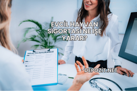 Evcil Hayvan Sigortası Ne İşe Yarar?