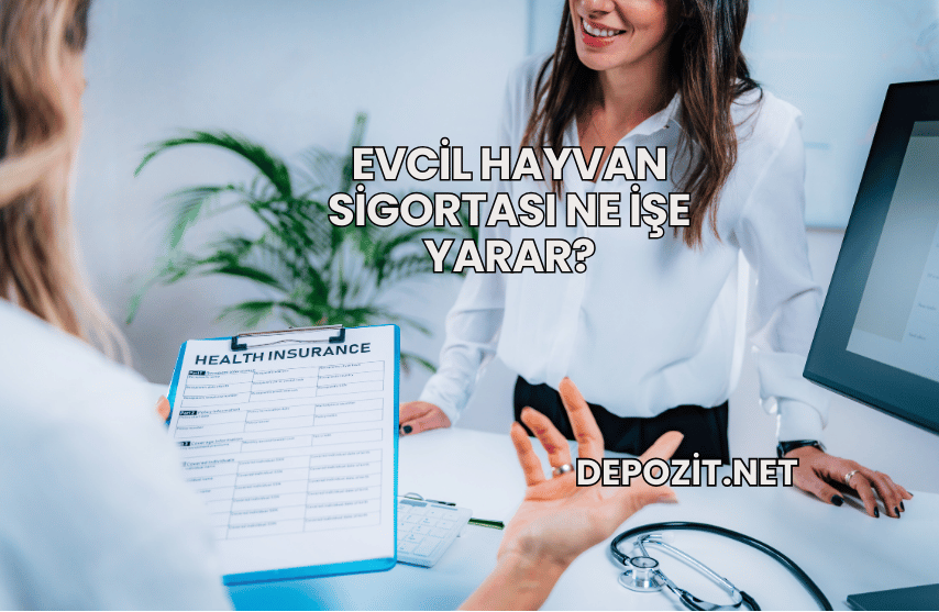 Evcil Hayvan Sigortası Ne İşe Yarar?