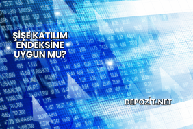 Şişe Katılım Endeksine Uygun mu?