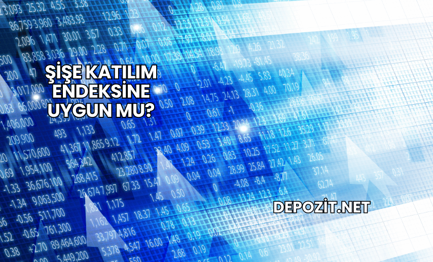 Şişe Katılım Endeksine Uygun mu?