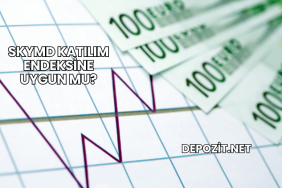 Skymd Katılım Endeksine Uygun mu?