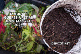 Solucan Gübresi Üretimi Tesisi Maliyeti 2025