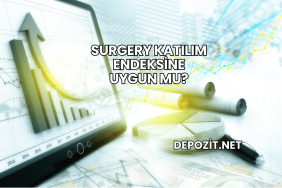 Surgery Katılım Endeksine Uygun mu?