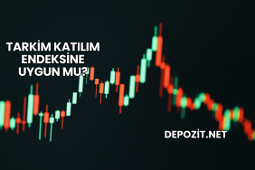 Tarkim Katılım Endeksine Uygun mu?
